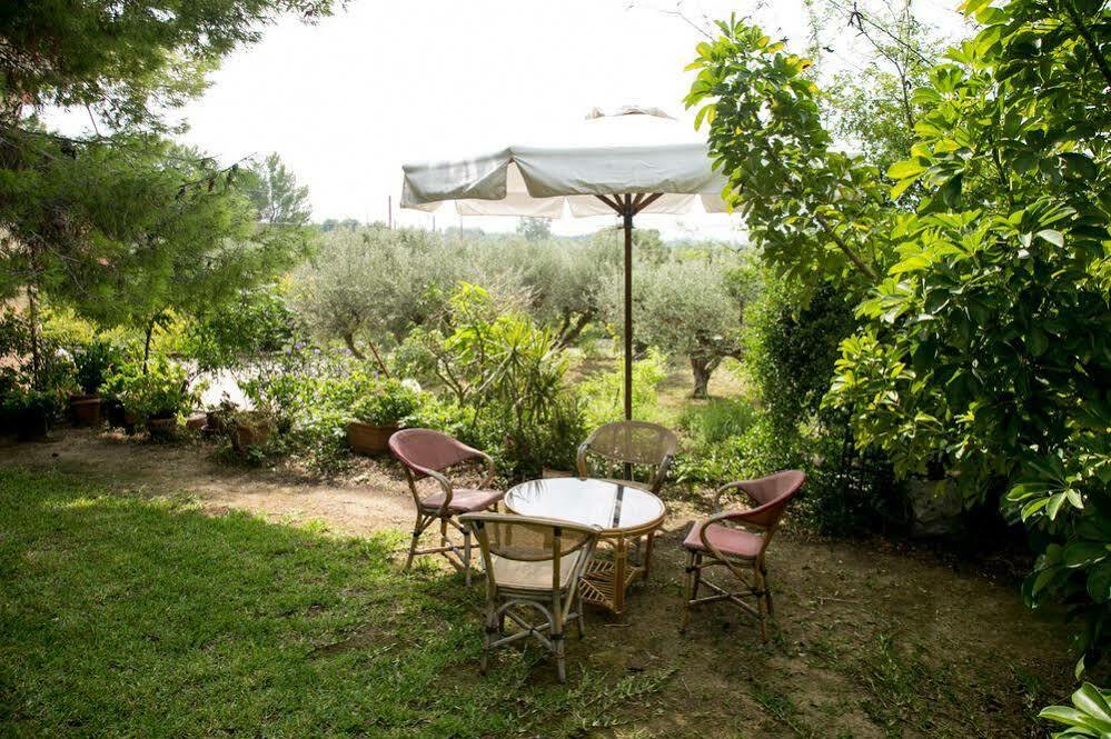 Almyros Studios & Apartments Κουνόπετρα Εξωτερικό φωτογραφία